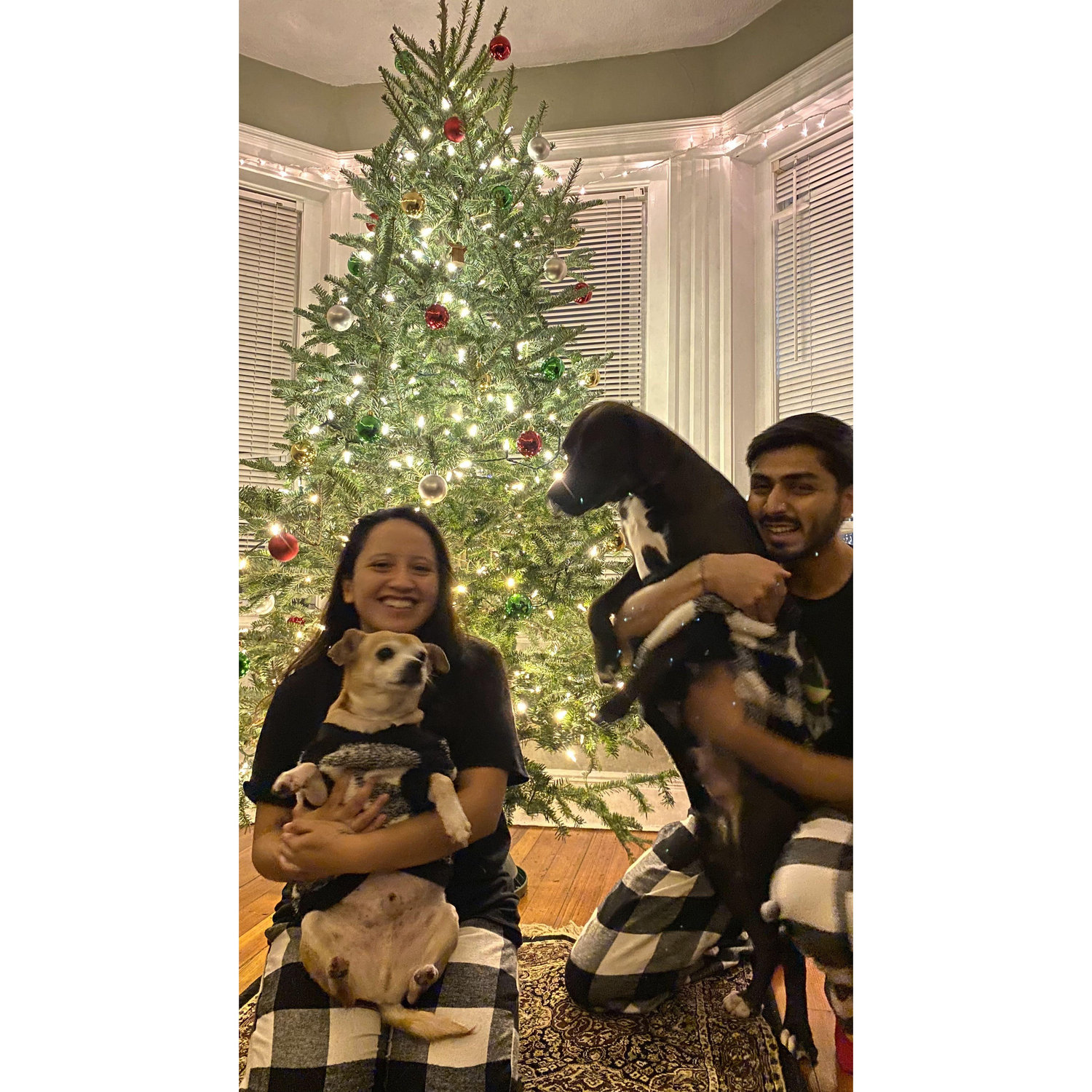 Firsy Christmas together in our Boston apartment.
