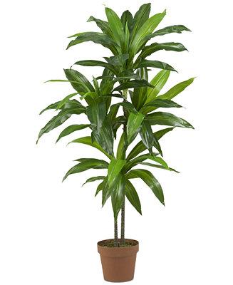 43" Dracaena Real Touch Plant