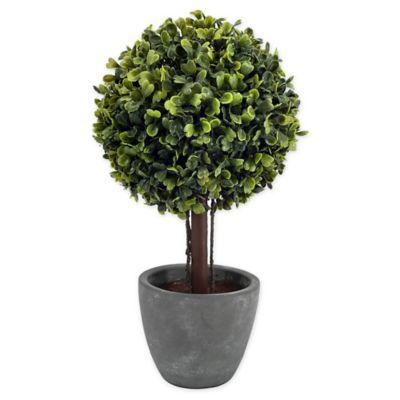 Bee & Willow™ Home Faux Boxwood Topiary in Cement Pot