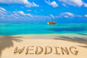 The Wedding Website of Shamael Shortte and Casandra Phillip