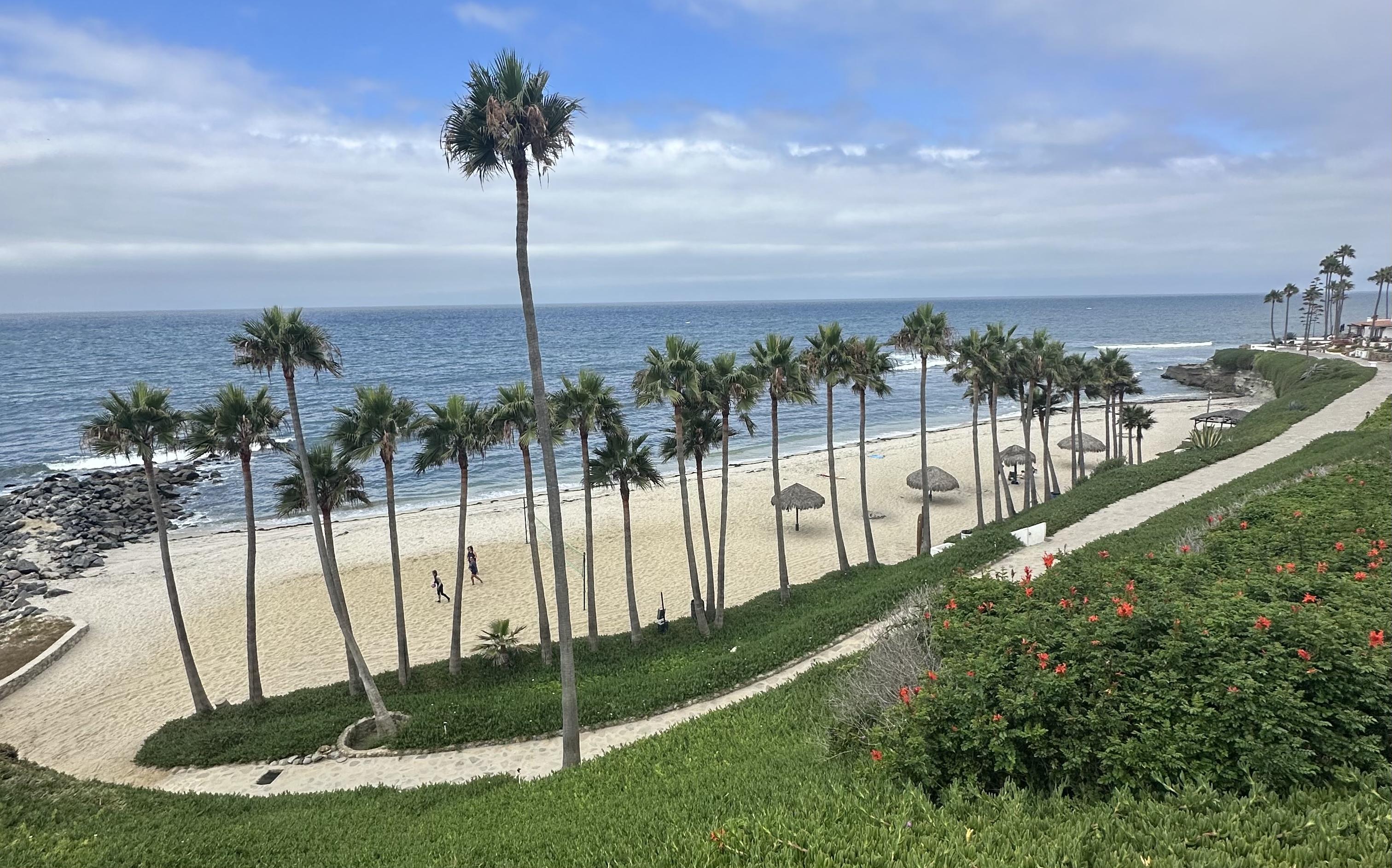 The Wedding Website of Emily Briggs and Stephen Theron