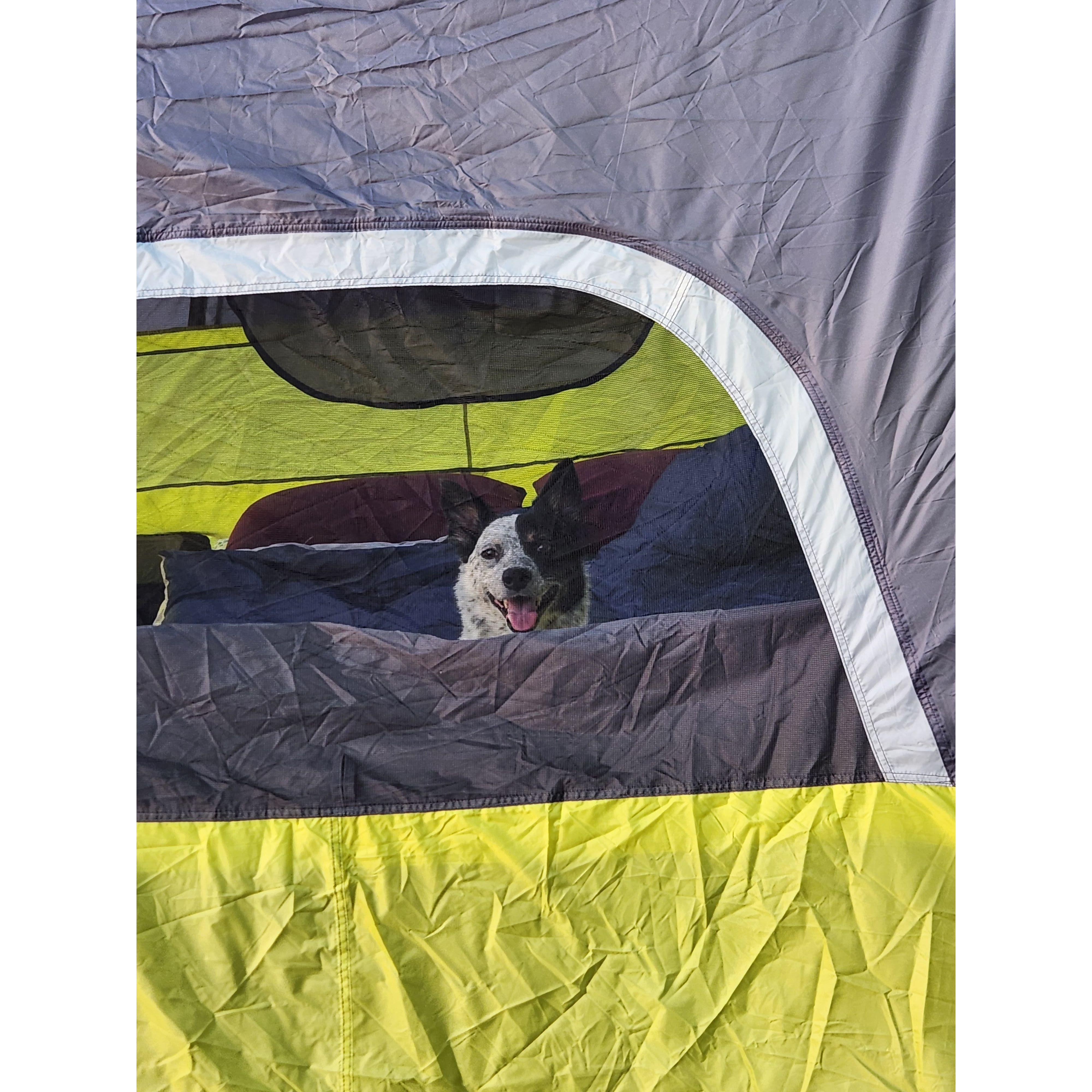 Camping at Davis Mountains State Park