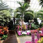 Planting Fields Arboretum