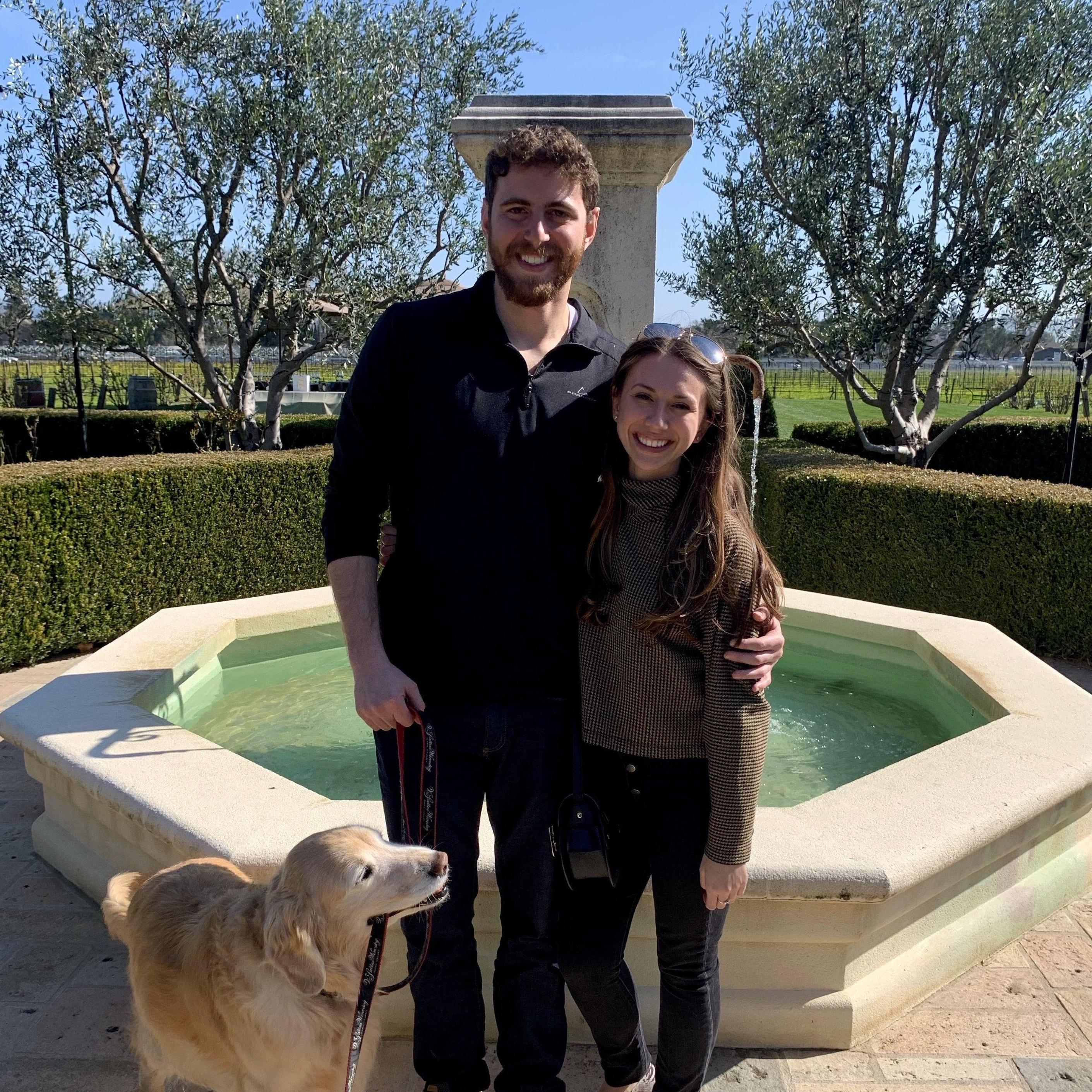 February, Napa 2020