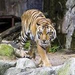 Santa Barbara Zoo