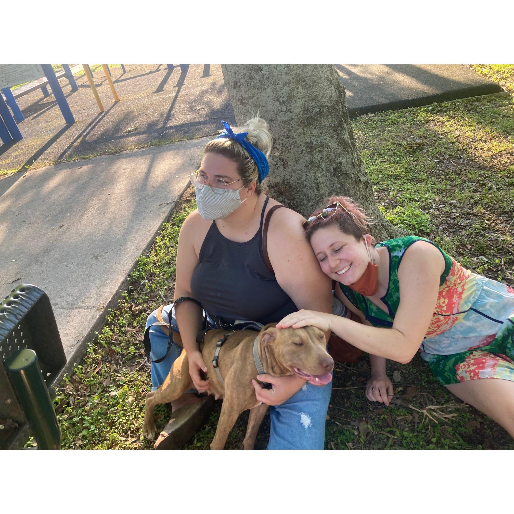 This is the first picture we took with Willow, Katie's dog, Maddy's step-dog :P