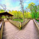 Murphy River Walk