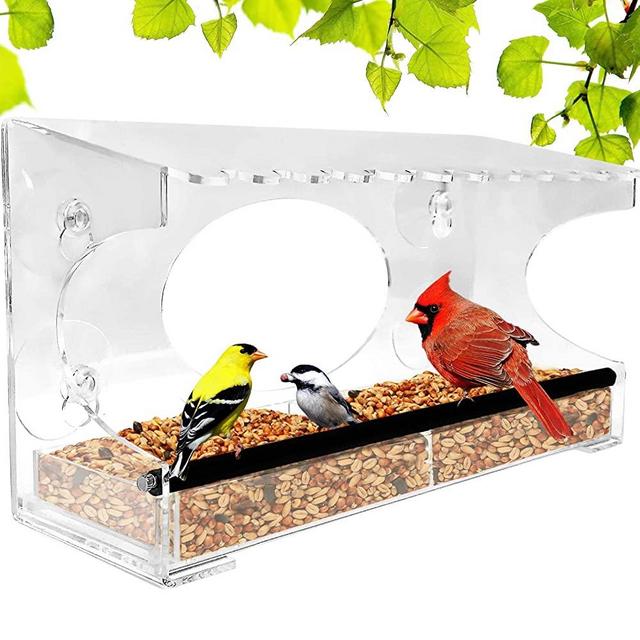 Nature Gear XL Window Bird Feeder - Extended Roof - Steel Perch - Sliding Feed Tray Drains Water - See Wild Birds Like Finches, Cardinals and Chickadees Up Close!