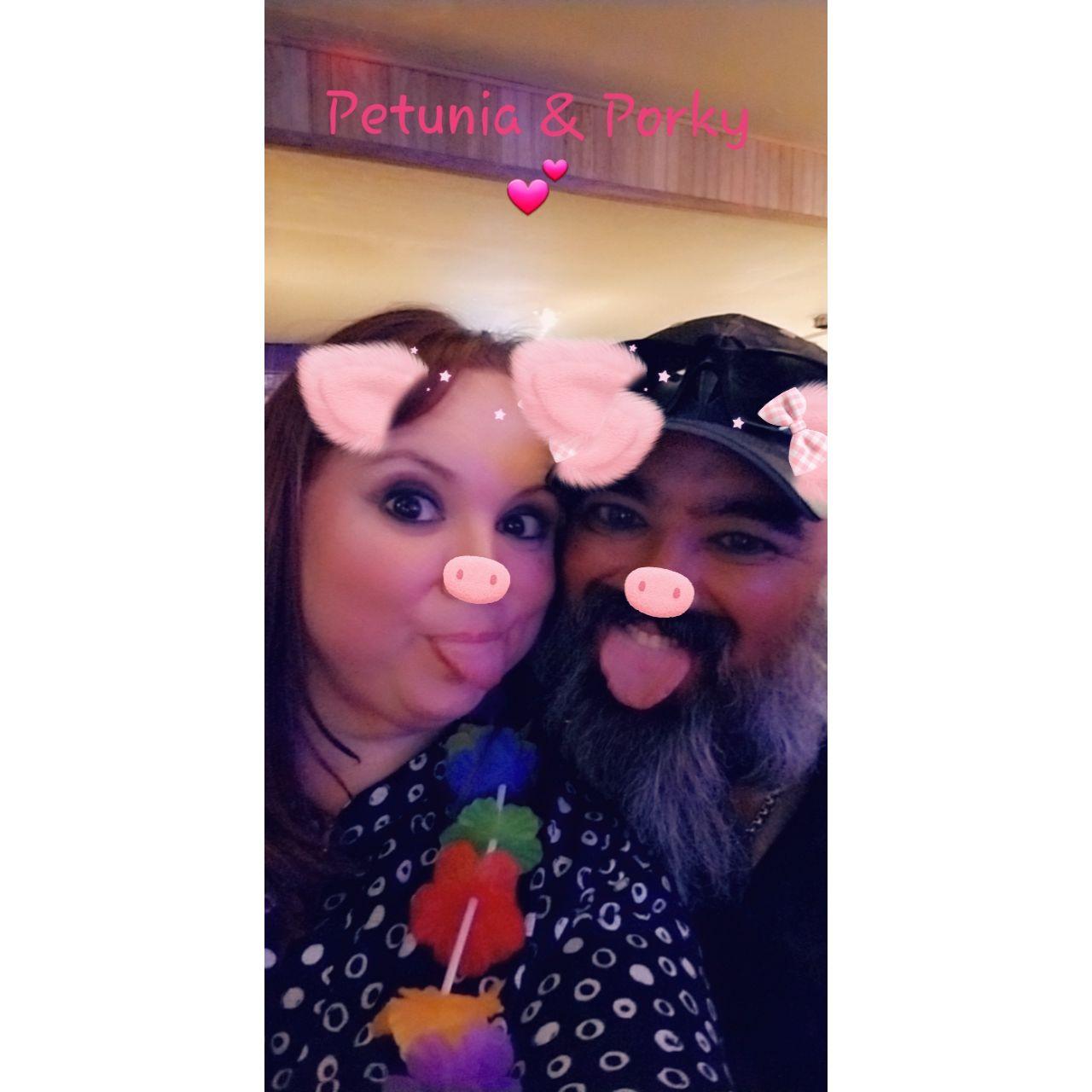 Porky & Petunia!
