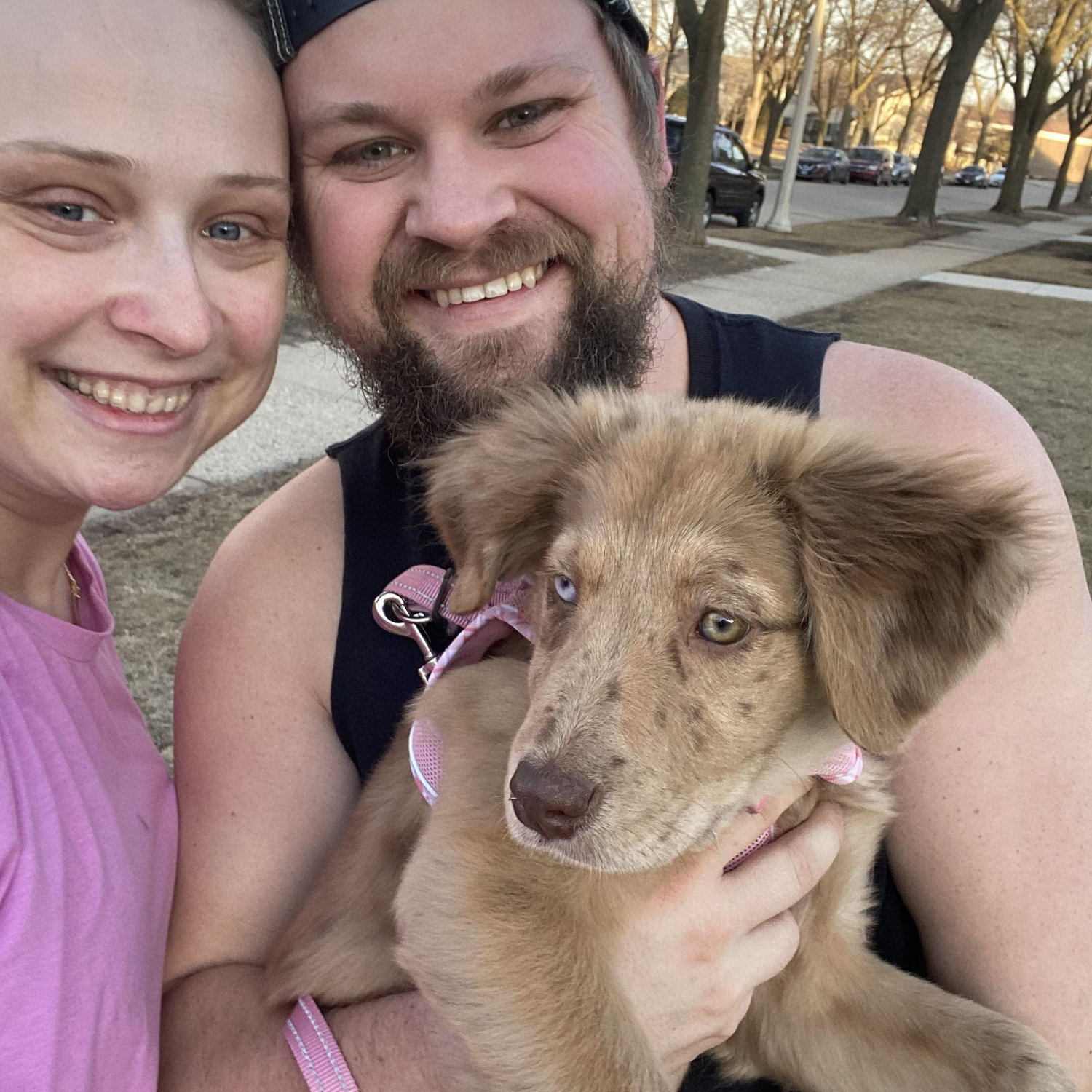 Meet Miley! Dave and Gretchen adopted a puppy in addition to their two sweet cats.