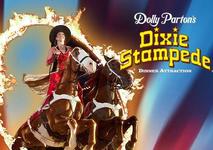 Dolly Parton's Stampede