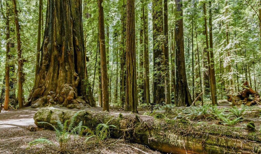 The Wedding Website of Bradley Butler and Erika Granadino