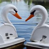 Riva Row Boat House
