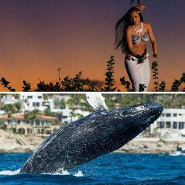 Myths of Maui Luau and Whale Watch - https://www.mythsofmaui.com/
