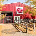 Pine Tree Apple Orchard