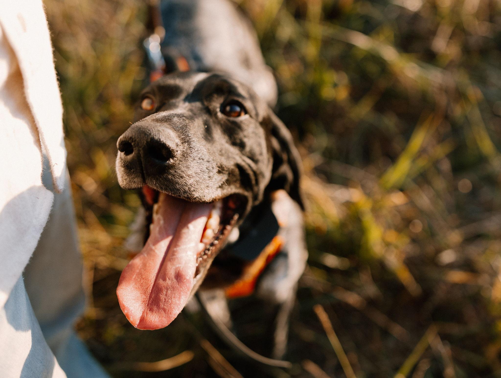 The Wedding Website of Ashton Riley Kirby and Austin Tyler Sesler