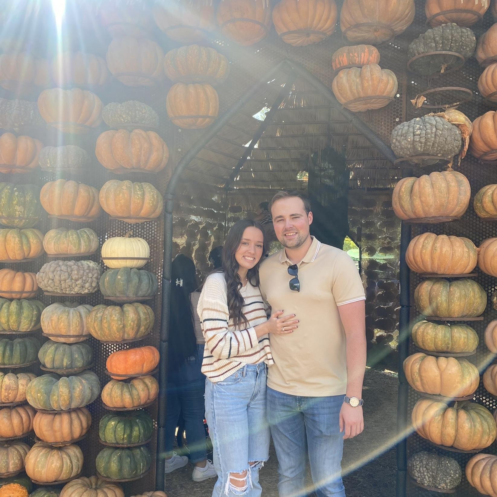 The pumpkin houses!