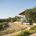 Hamel Family Wines