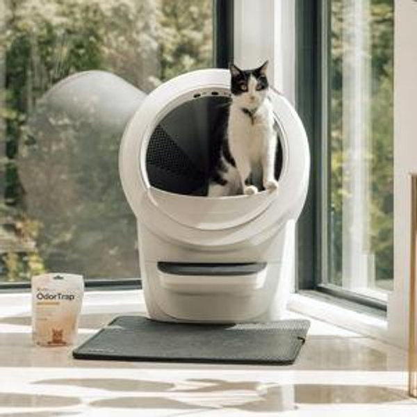 Litter Robot Litter Box