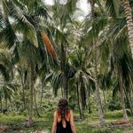 Tayrona National Park Trek