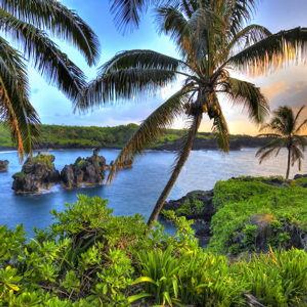 Honeymoon in Hawaii