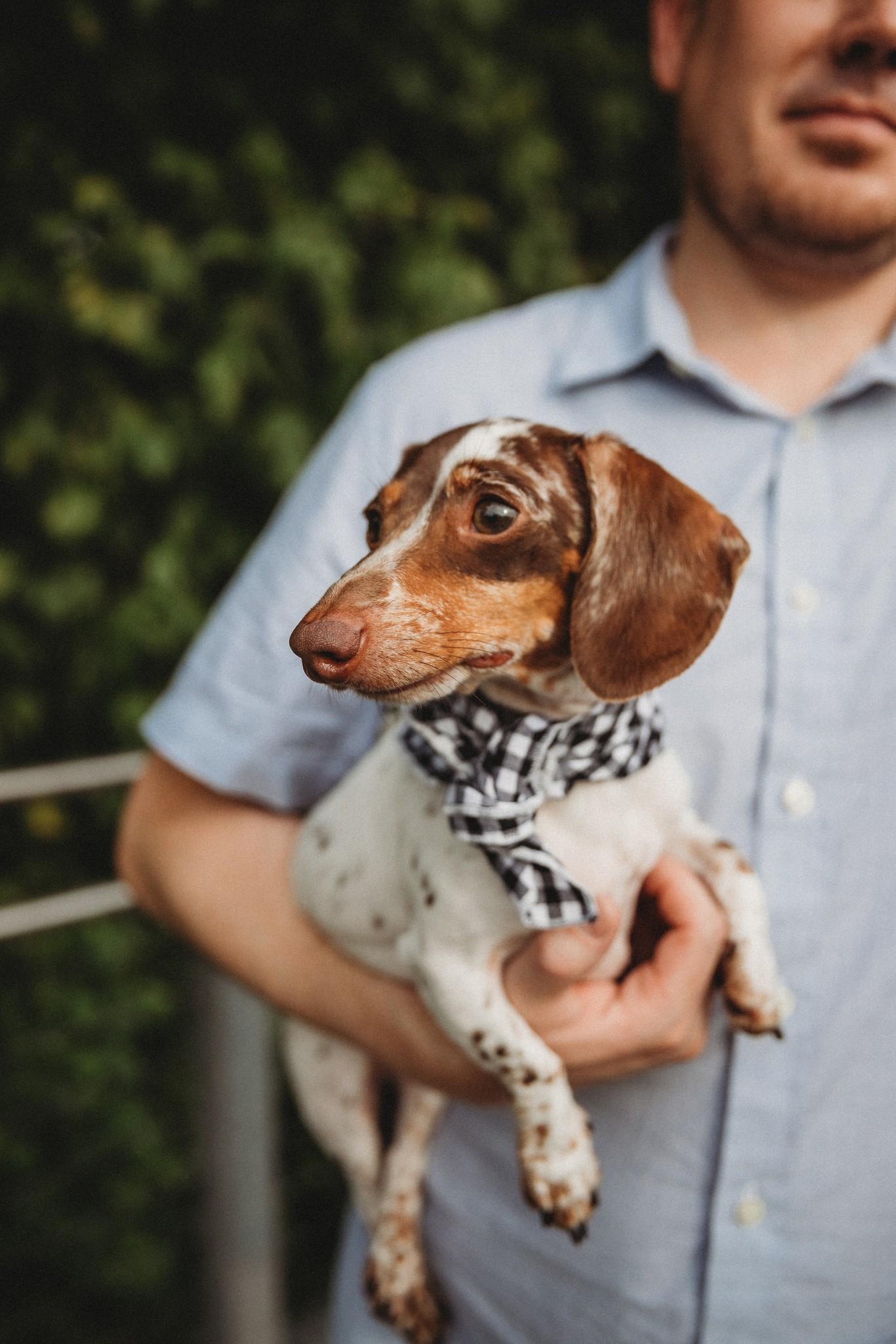 8c51c9cf-59a8-4c9d-b093-108a1cbcd0d9