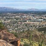 Tumamoc Hill