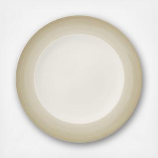 Colorful Life Dinner Plate