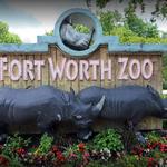 Fort Worth Zoo