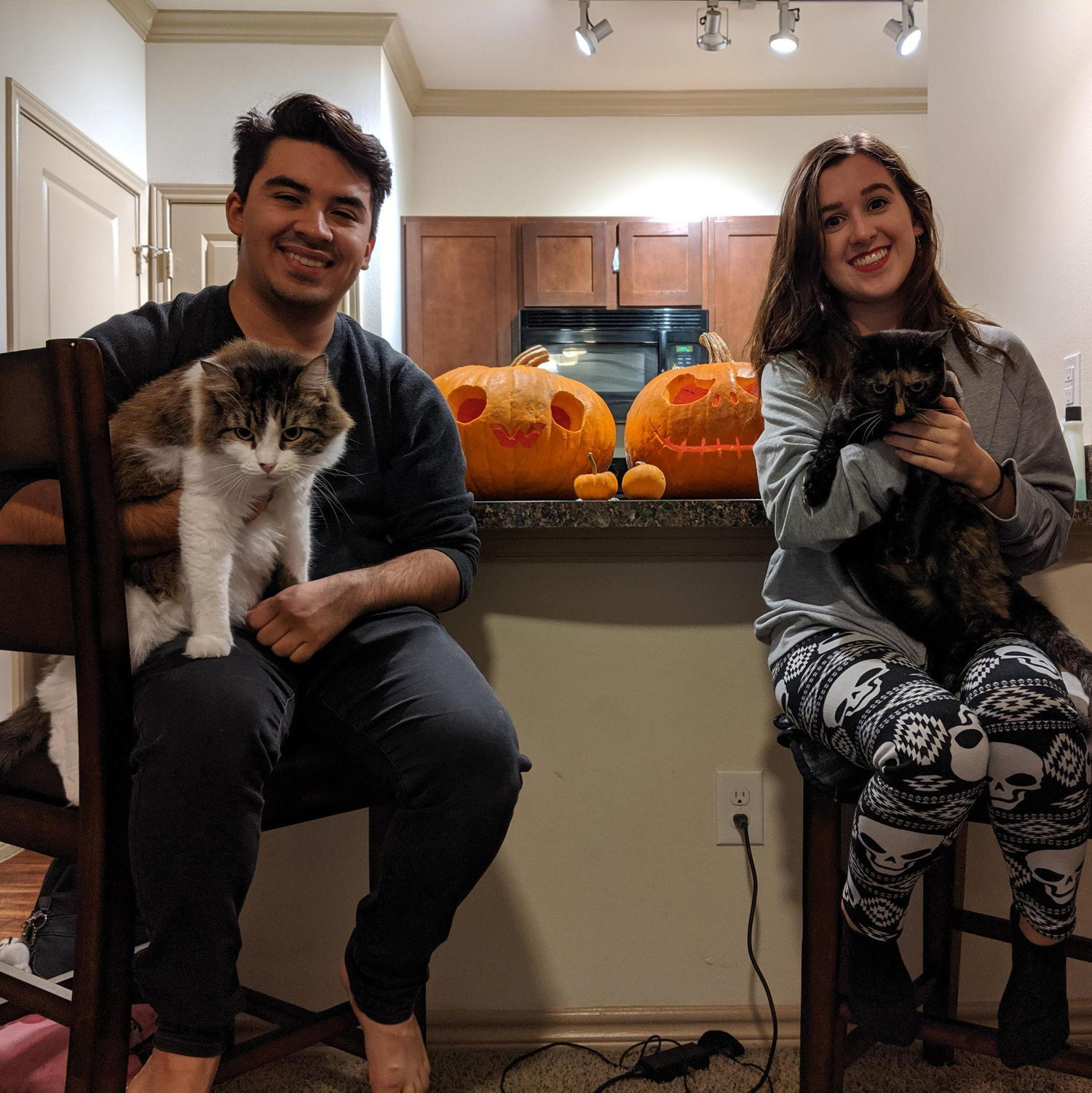 First solo apartment!