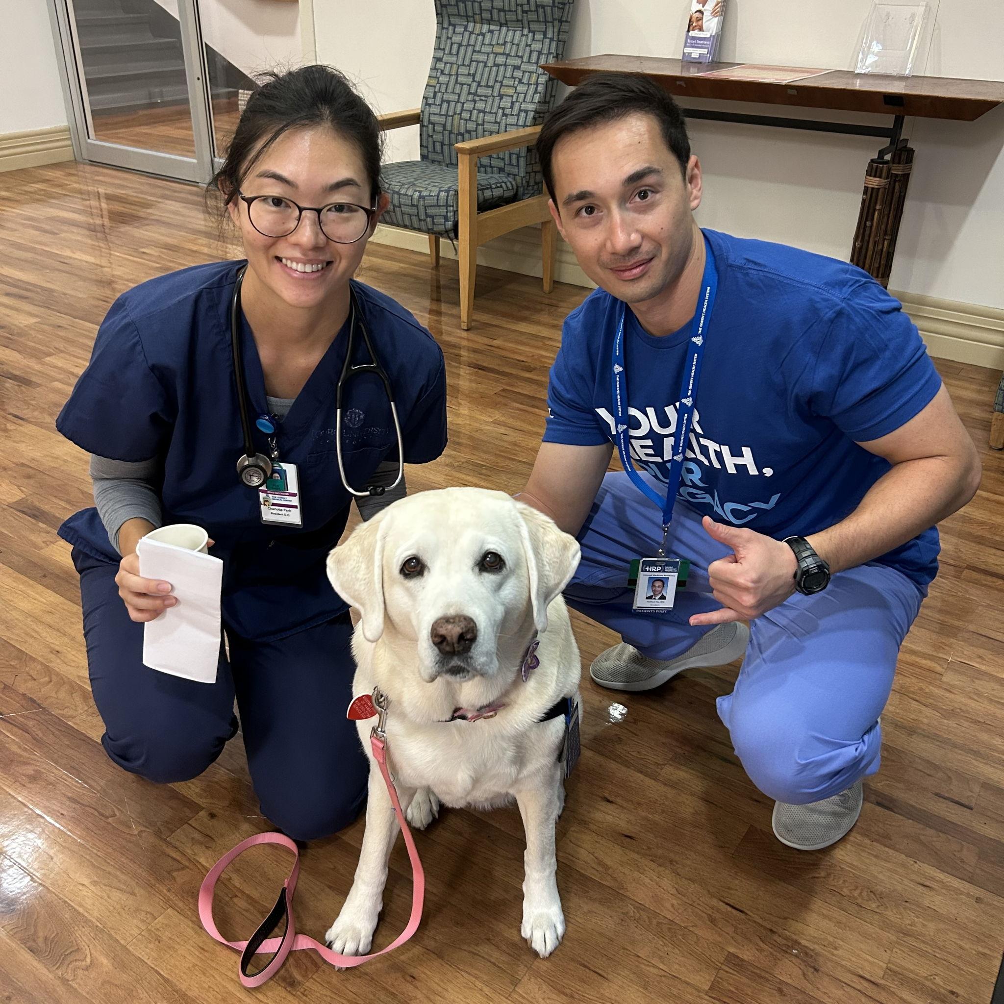 Therapy dog hard at work. As for the other two, working hard or hardly working?