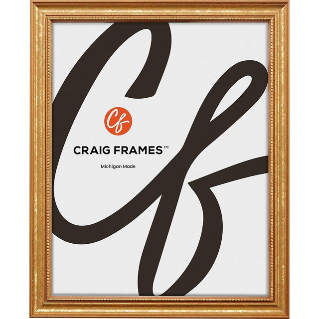 Craig Frames 9x12 Picture Frame – Gold Ornate Style, 3/4 Inch Wide Solid Wood Moulding with Vintage Beaded Detail, Glass and Backing Included, Wall Display Frame for Art and Photos
