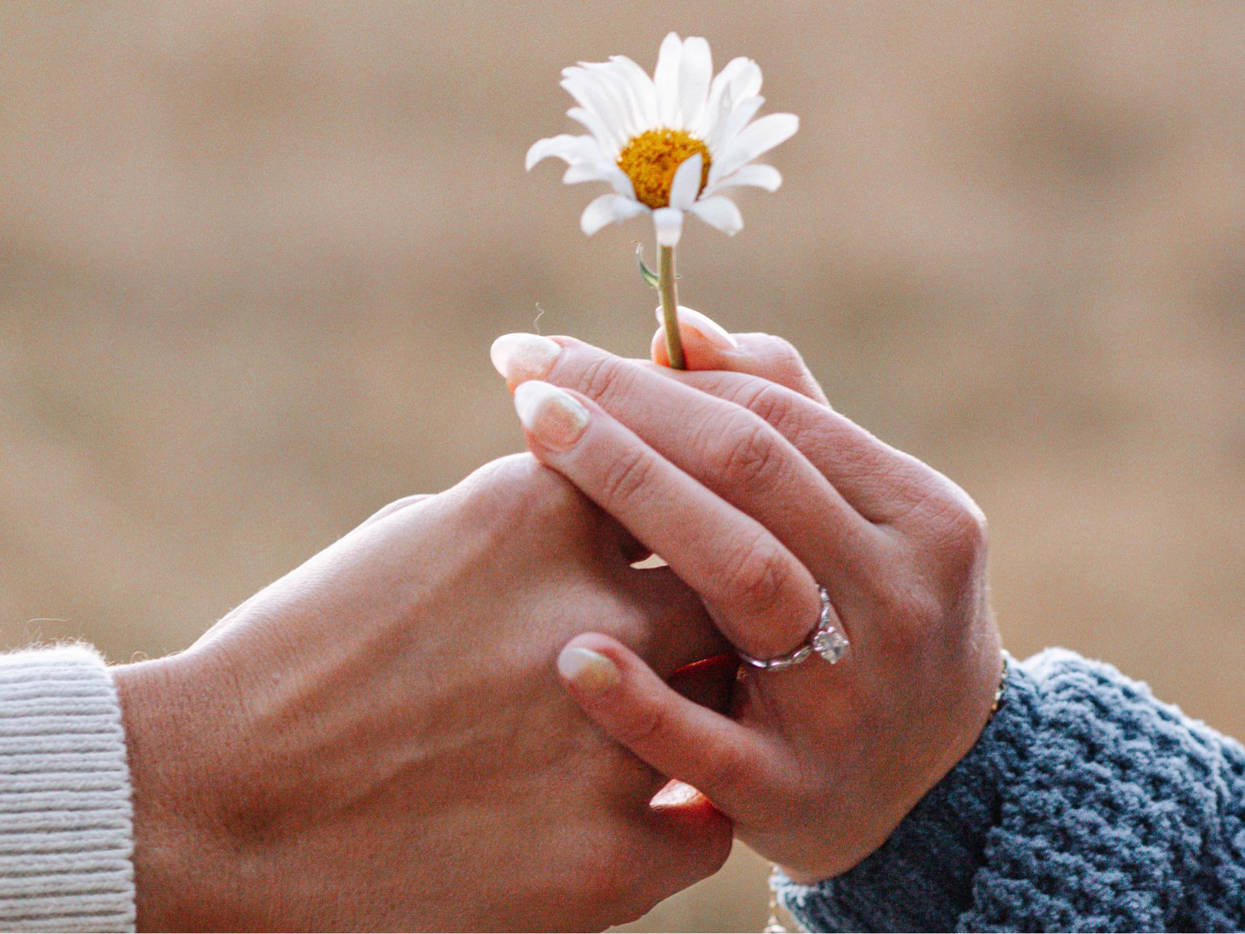 The Wedding Website of Brittany Stanley and Chandler Simmons