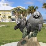 Manatee Lagoon