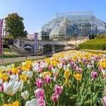 Phipps Conservatory and Botanical Gardens