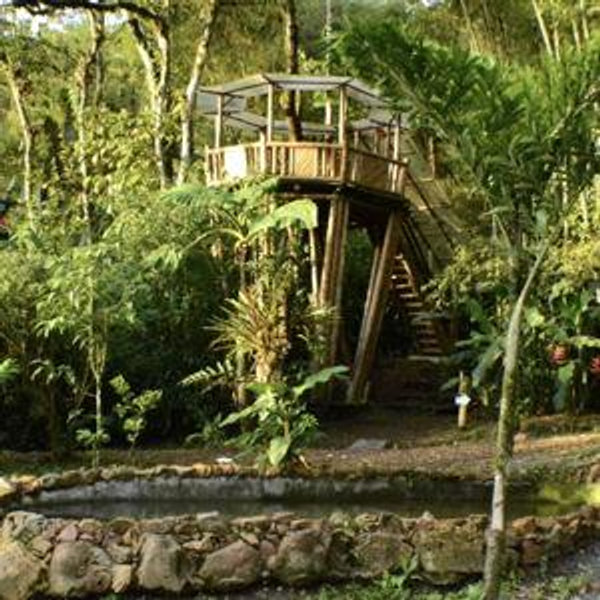 Butterfly Sanctuary Tickets for Two in Mindo
