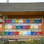 Visit an Apiary - Čebelarstvo Ambrožič - Kralov Med