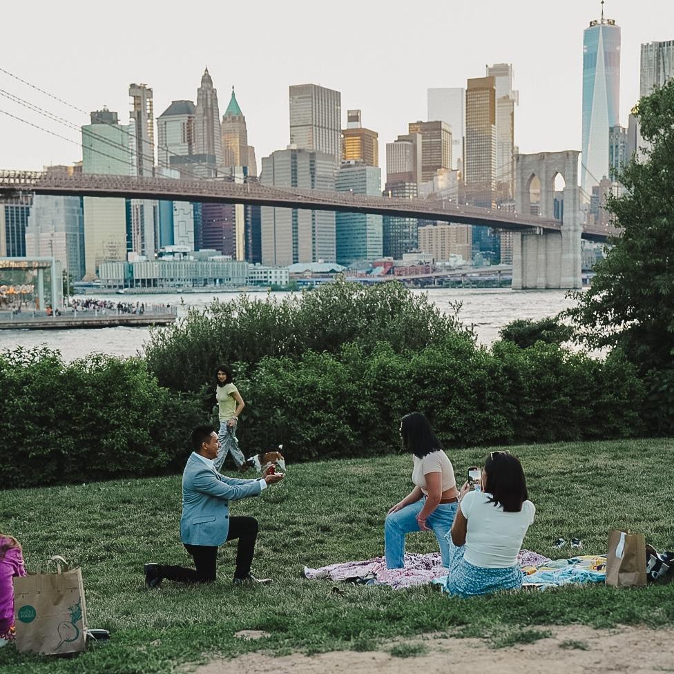 The Proposal