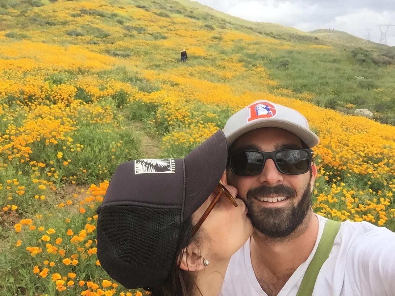 Road trip to Temecula to see the super bloom
