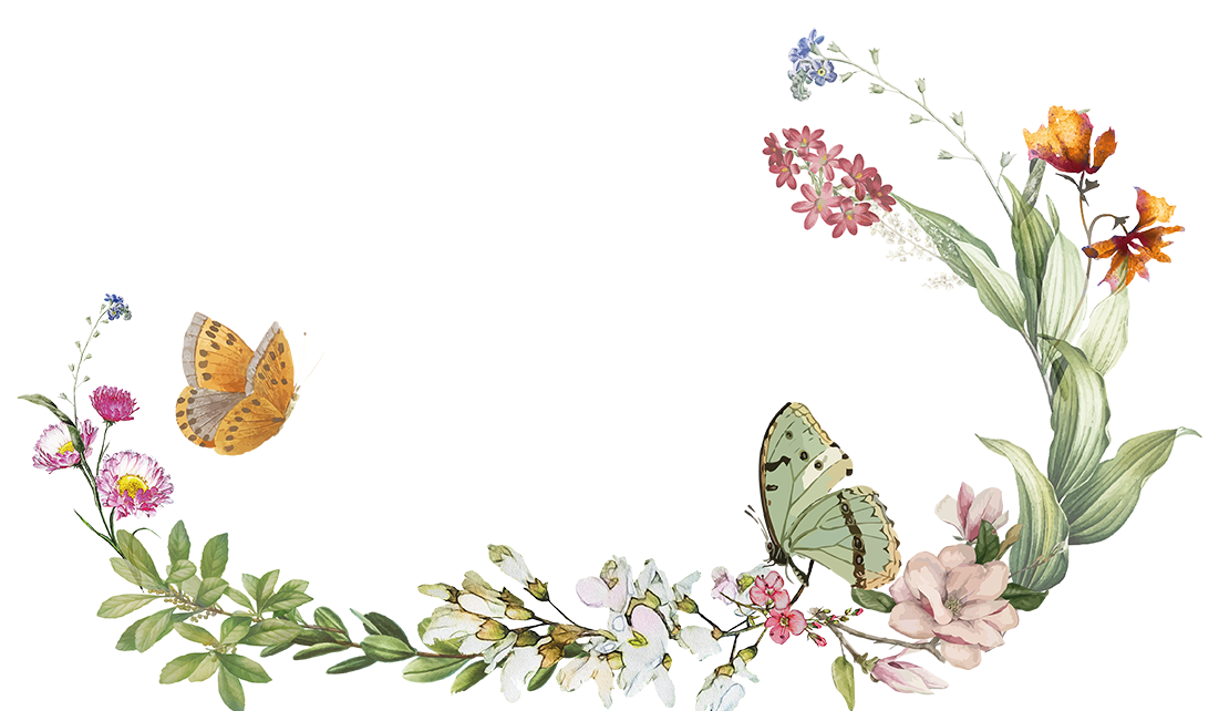 Footer image