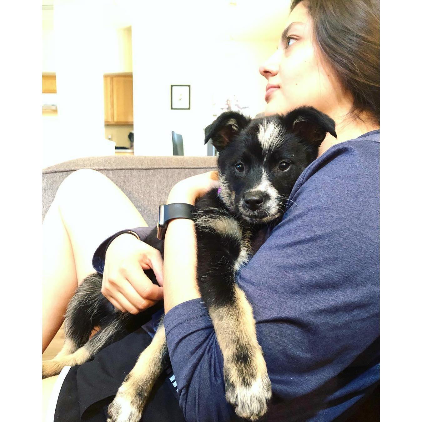 @Lifeline Puppy Rescue {day we got our pup!}