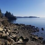 Teddy Bear Cove - Chuckanut Mountain Trails
