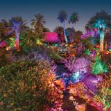 Naples Botanical Garden