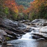 Graveyard Fields Loop Trail