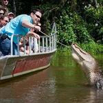 Cajun Encounters Tour Company