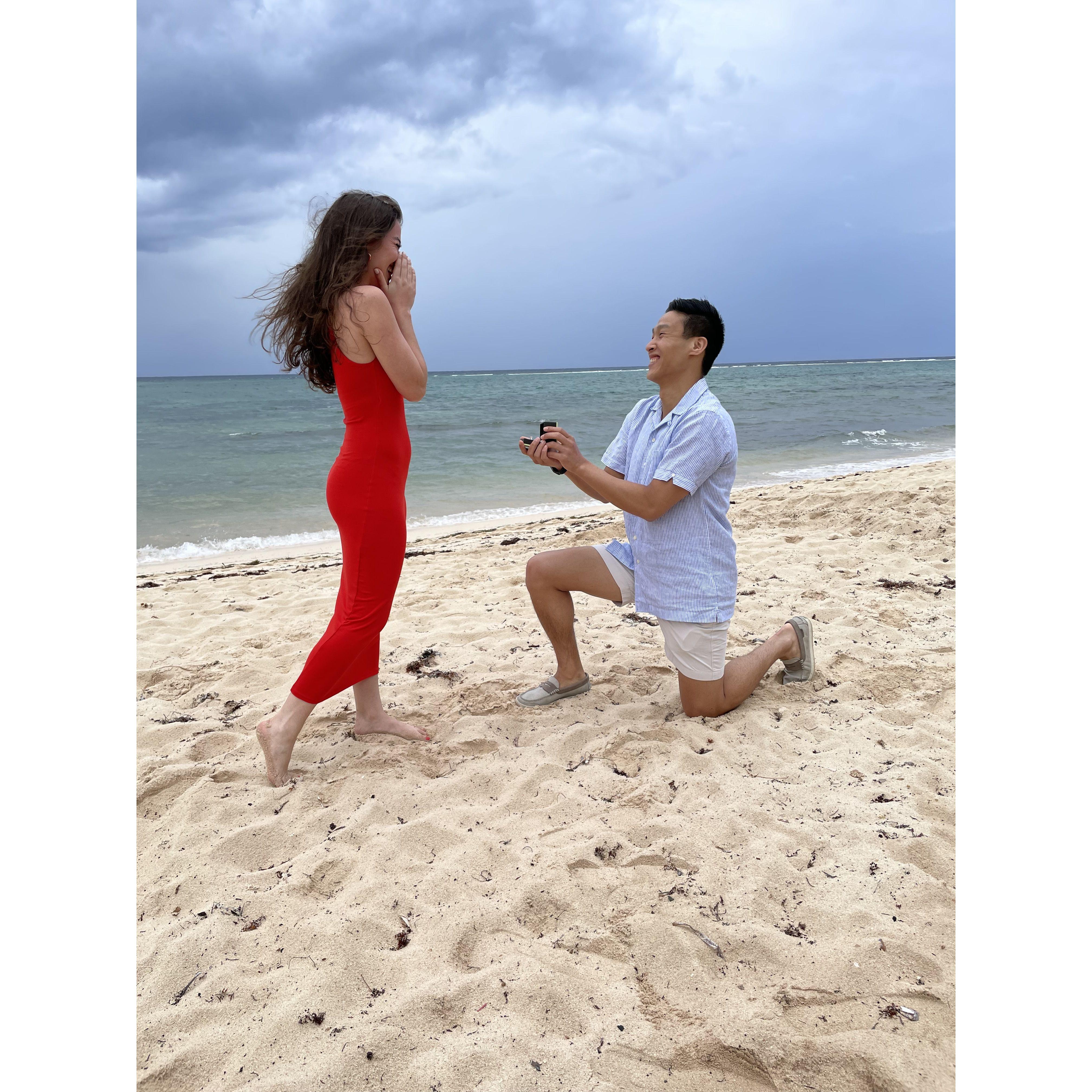 When Lawrence proposed!