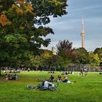 Trinity - Bellwoods
