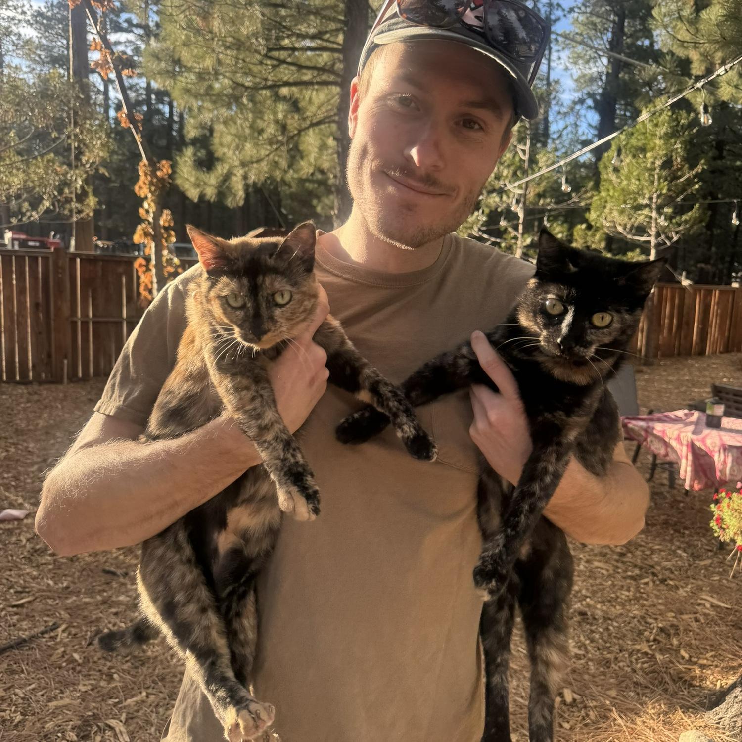 Cat daddy