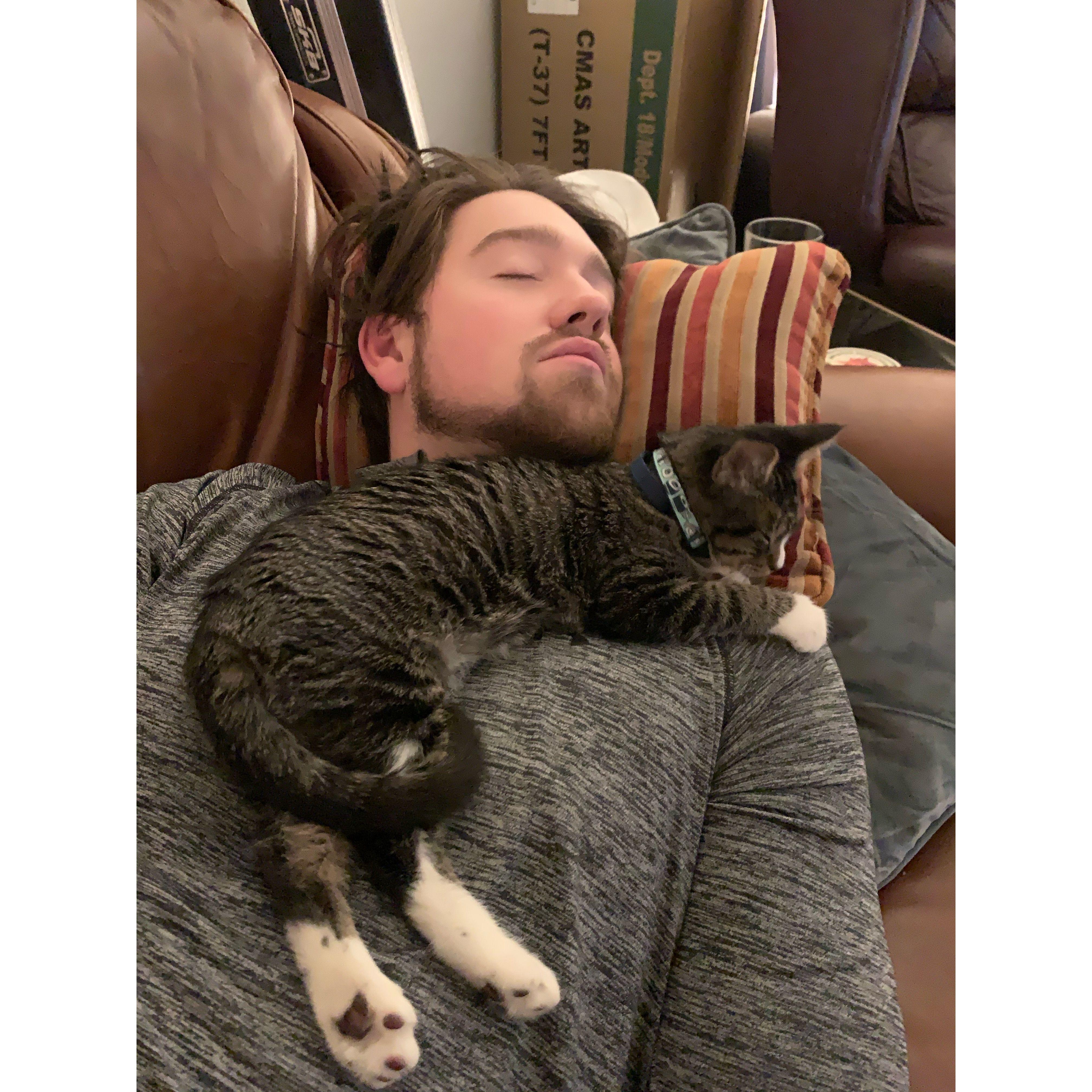 We welcomed our first fur child ~ Ziggy