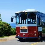 Intown Trolley Tour